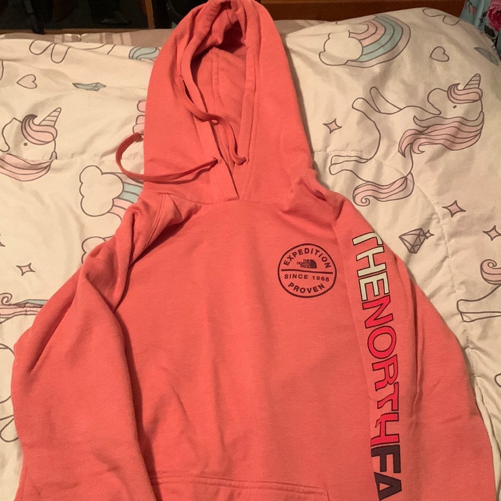 The North Face Expedition Hoodie